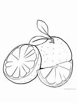 Grapefruit Almofadas Riscos Artesanais sketch template