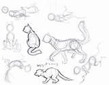 Poses Reference Kitty Character Anatomie Yuiharunashinozaki Gatos Carnet Tutoriais Esboços Enregistrée sketch template