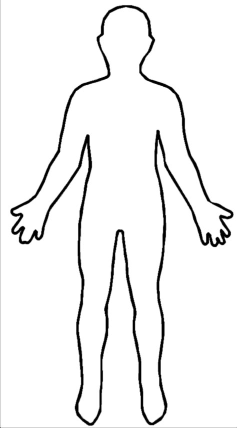 outline body body outline body template human body