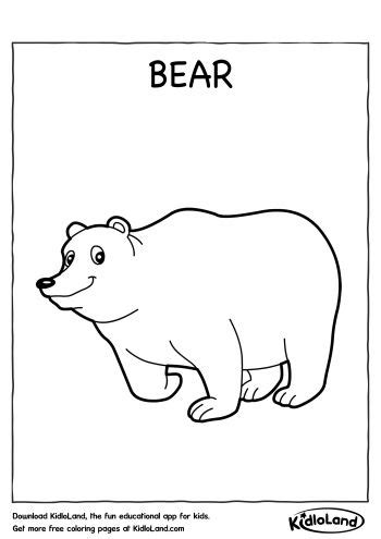bear coloring page  educational activity worksheets