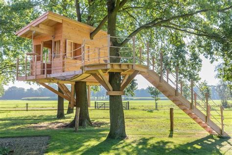 building  treehouse platform  diy guide hunker