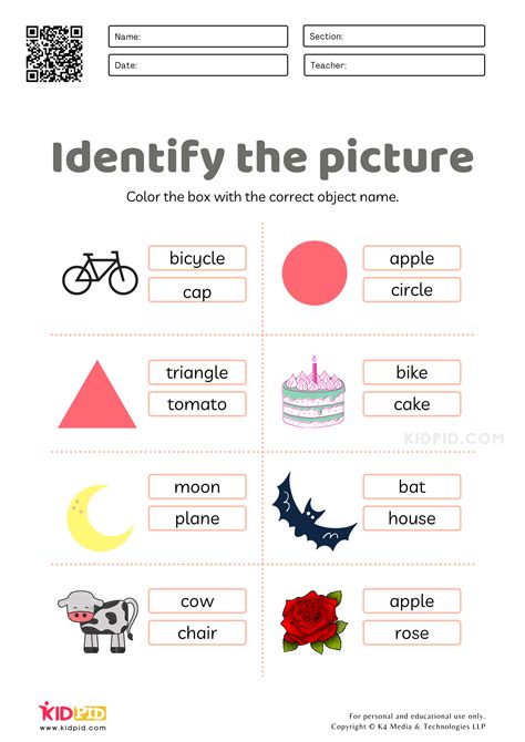 identifying objects words worksheets  kids kidpid