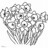 Coloring Spring Flowers Printable Pages Flower Daffodil Popular sketch template