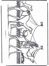 Kamelen Kamele Ausmalbilder Karavaan Caravane Carovana Colorare Fun Caravana Coloriage Kameel Chameaux Egypte Cammelli Coloriages Malvorlagen Dieren Nukleuren Jetztmalen Dromedario sketch template