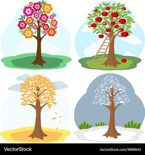 tree  seasons royalty  vector image vectorstock