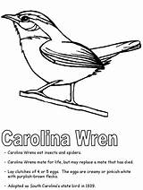 Coloring Wren Carolina State Symbols Drawings South Bird Pages Line Kidzone Ws Printables States United Drawing Template Designlooter Easy 84kb sketch template