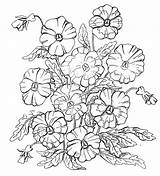 Pansies Stress sketch template