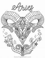 Coloring Aries Pages Zodiac Printable Signs Adult Adults Ram Coloringgarden Pdf Printables Horoscope Color Colouring Drawing Capricorn Gemini Print Sign sketch template