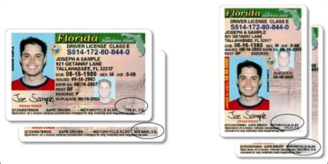 sex offenders will have marked driver s licenses