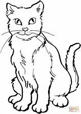 Colorear Gatitos Gato Supercoloring Posando Tiernos sketch template
