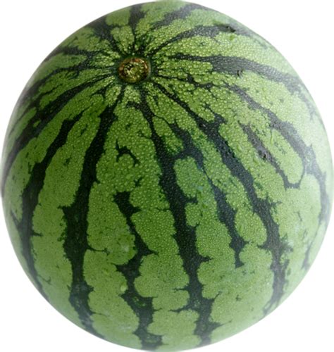 pasteque png tube fruit wassermelone sandia png