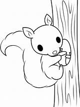 Squirrel Eekhoorn Climbing Kleurplaat Klimt Kleurplaten Leukekleurplaten Eekhoorns Coloringpage Eikel sketch template