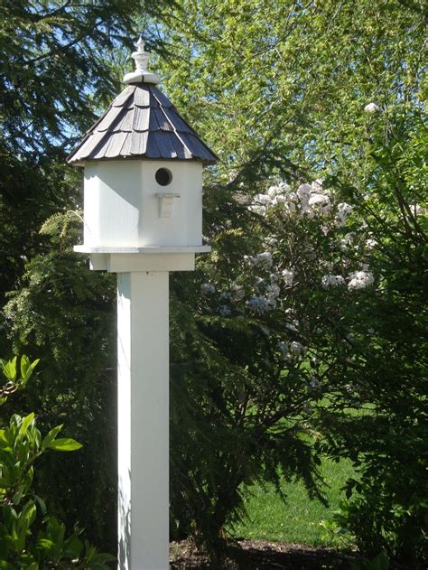 white birdhouse bird houses bird house bird housesfeeders