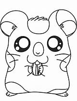 Coloring Pages Hamster Cute Library Clipart Hamtaro sketch template