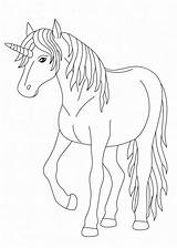Eenhoorn Kleurplaten Paard Schattige Superkleurplaten Tekeningen Tijd sketch template
