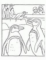 Coloring Penguin Pages Family Baby Colouring Sheet Winter Habitat Animals Library Preschool Popular sketch template