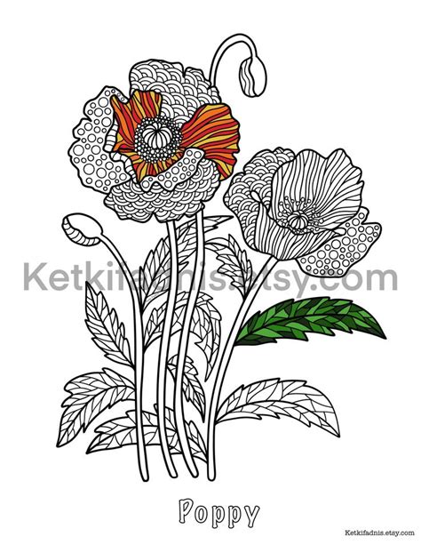 poppy flower coloring page flower coloring page  etsy flower