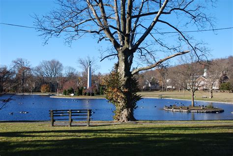 art   park montclair blueroseembroideredvans