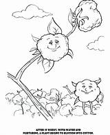 Cotton Coloring Colouring Pages Designlooter 820px 98kb sketch template