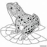 Bullfrog Getdrawings sketch template