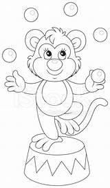 Circus Monkey Premium Freeimages Istock Getty Stock sketch template