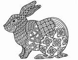 Coloring Year Rabbit Chinese 2023 Zentangle Preview sketch template