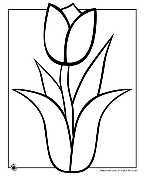 printable tulip coloring pages printable word searches
