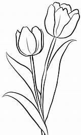 Tulipe épinglé sketch template