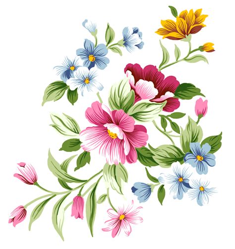 collection  flower png pluspng