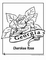Coloring Flower Georgia State Pages Kids sketch template