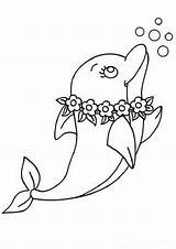 Dolphin Dolphins Tulamama sketch template