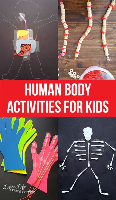 human body activities  kids