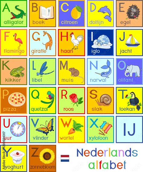 colorful dutch nederlands alphabet  pictures  titles  children education stock
