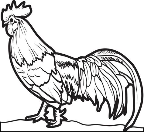coloring pages  chickens   coloring pages