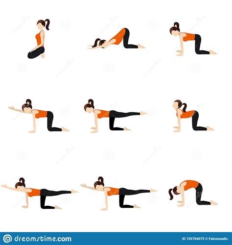hips  spine extension yoga poses set stock vector illustration