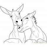 Donkey Coloring Pages Domestic Animal Kids Coloringpages101 sketch template
