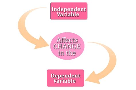 independent variable science definition explanation  examples