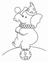 Ball Elephant Circus Coloring Pages Standing Football Color Getcolorings sketch template