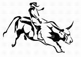 Bull Toro Rodeo Guida Stier Berijden Illustrazione Vettore Sul Illustrazioni Vectorified Vectorillustratie Americano Backgrou Chempion sketch template