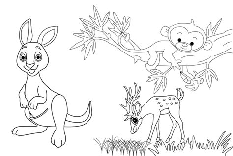 draw coloring book page  naim fiverr