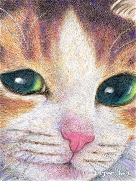 calico cat drawing digital print closeup   calico cat realistic