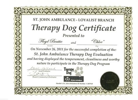 service dog certificate template  templates  templates