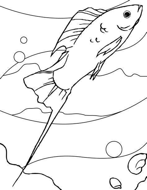 coloring pages  fish animal place