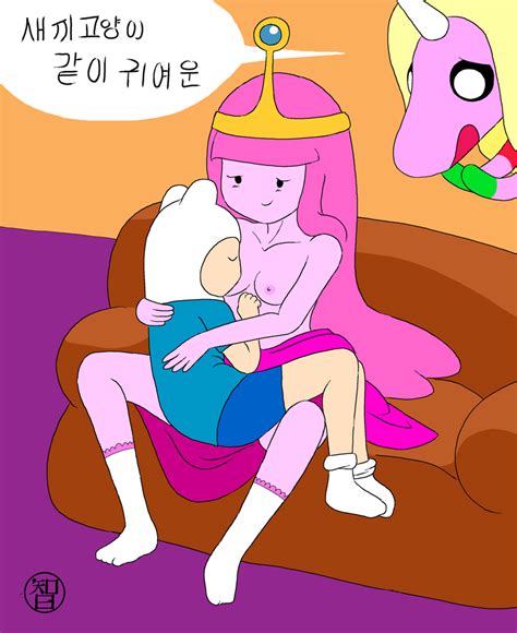 Rule 34 Adventure Time Coldfusion Finn The Human Lady Rainicorn
