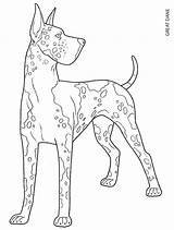 Coloring Pages Dane Great Dog Dogs Color Adult Colouring Scottish Printable Drawings Animal Terrier Dover Publications Book Drawing Doverpublications German sketch template