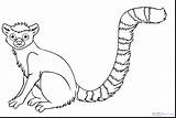 Lemur Coloring Animals Pages Jungle Getdrawings sketch template