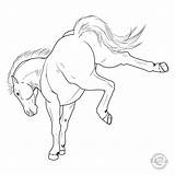 Horse Drawing Line Lineart Arabian Deviantart Mustang Cliparting Drawings Clipart Paintingvalley sketch template