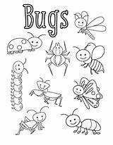 Coloring Bugs Pages Bug Insects Insect Sheets Preschool Printable Colouring Worksheets Activities Kids Sheet Funnycrafts Spring Crafts Print Template Easy sketch template