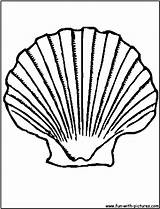 Shell Coloring Seashell Pages Scallop Shells Printable Clipart Clam Oyster Color Transfers Great Fun Kids Fresh Getcolorings Getdrawings Template Drawings sketch template