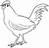 Chicken Coloring Pages Coloringpages Printable Para sketch template